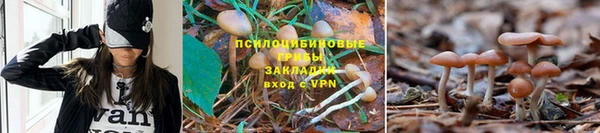 mdpv Зерноград