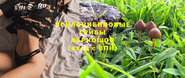 мяу мяу мука Зеленокумск