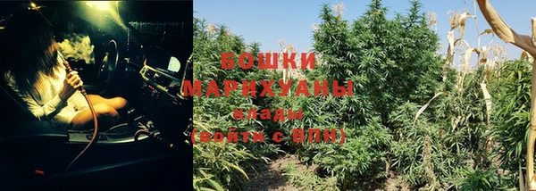мяу мяу мука Зеленокумск