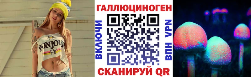 Псилоцибиновые грибы Psilocybe  Назрань 